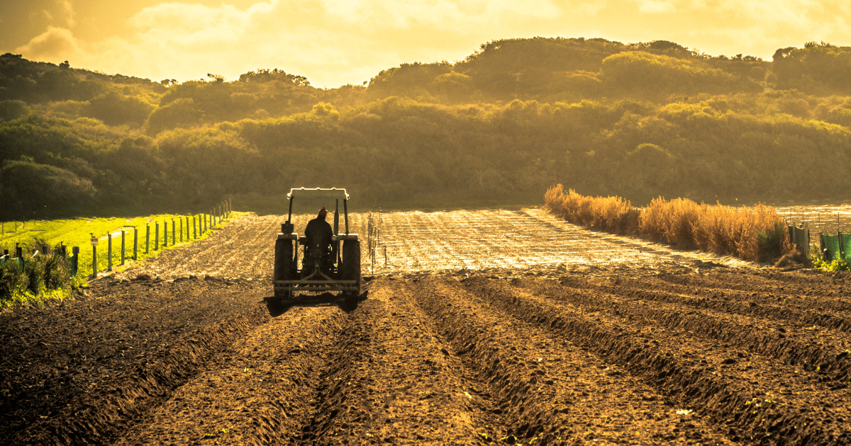 culturi de toamna,eurocereal,fertilizant,biostimulare,fertilizare,cereale păioase,rapiță,protecția fosforului