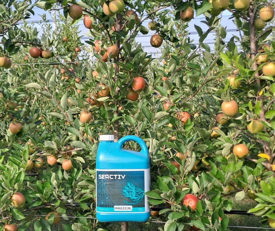 Seactiv Magical