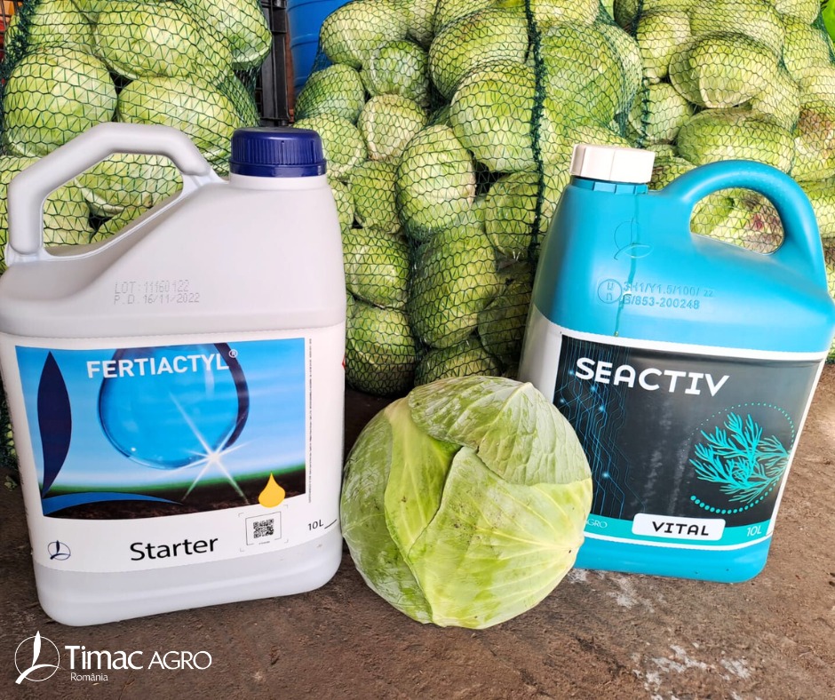 Fertiactyl Starter la culturile horticole