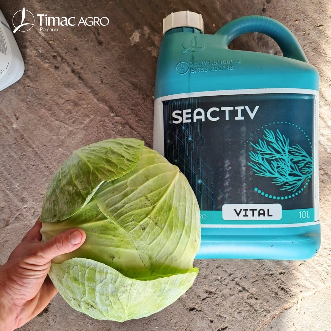 Seactiv Vital