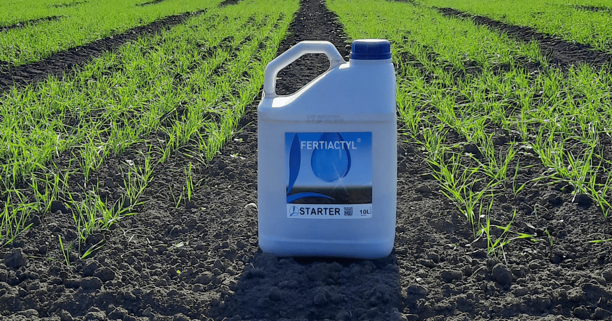 culturi de toamna,eurocereal,fertilizant,biostimulare,fertilizare,cereale păioase,rapiță,protecția fosforului
