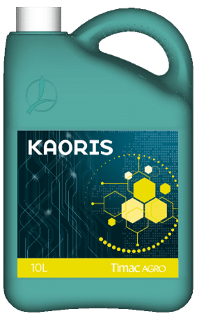 KAORIS 4