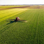 utilaje agricole într-un lan de porumb