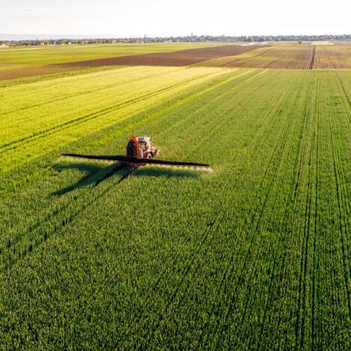 utilaje agricole într-un lan de porumb