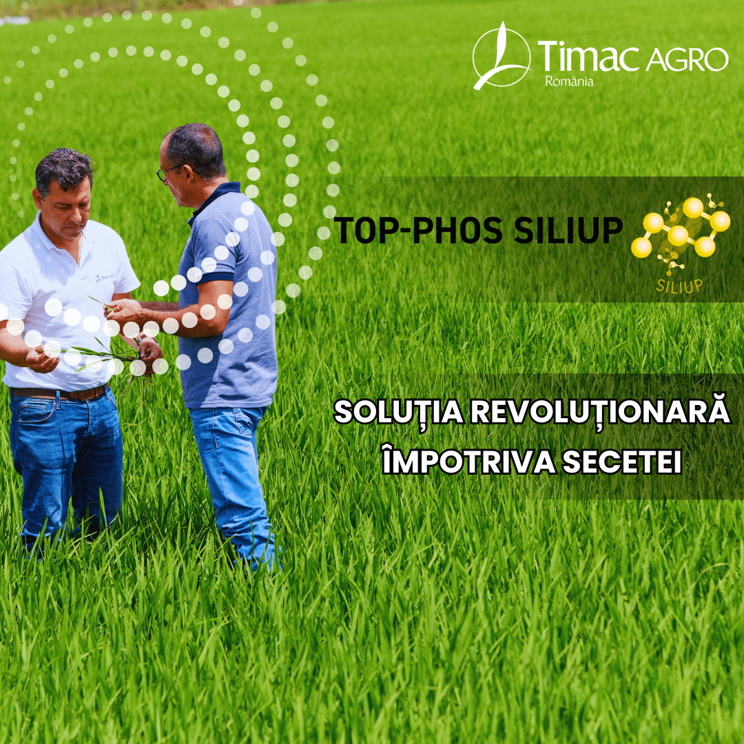 culturi de toamna,eurocereal,fertilizant,biostimulare,fertilizare,cereale păioase,rapiță,protecția fosforului