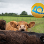 Nutritie Animala Timac Agro