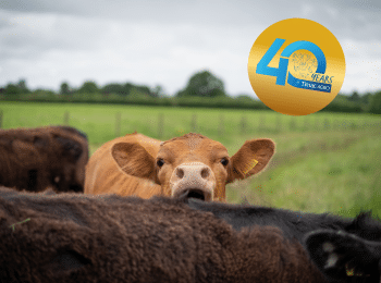 Nutritie Animala Timac Agro