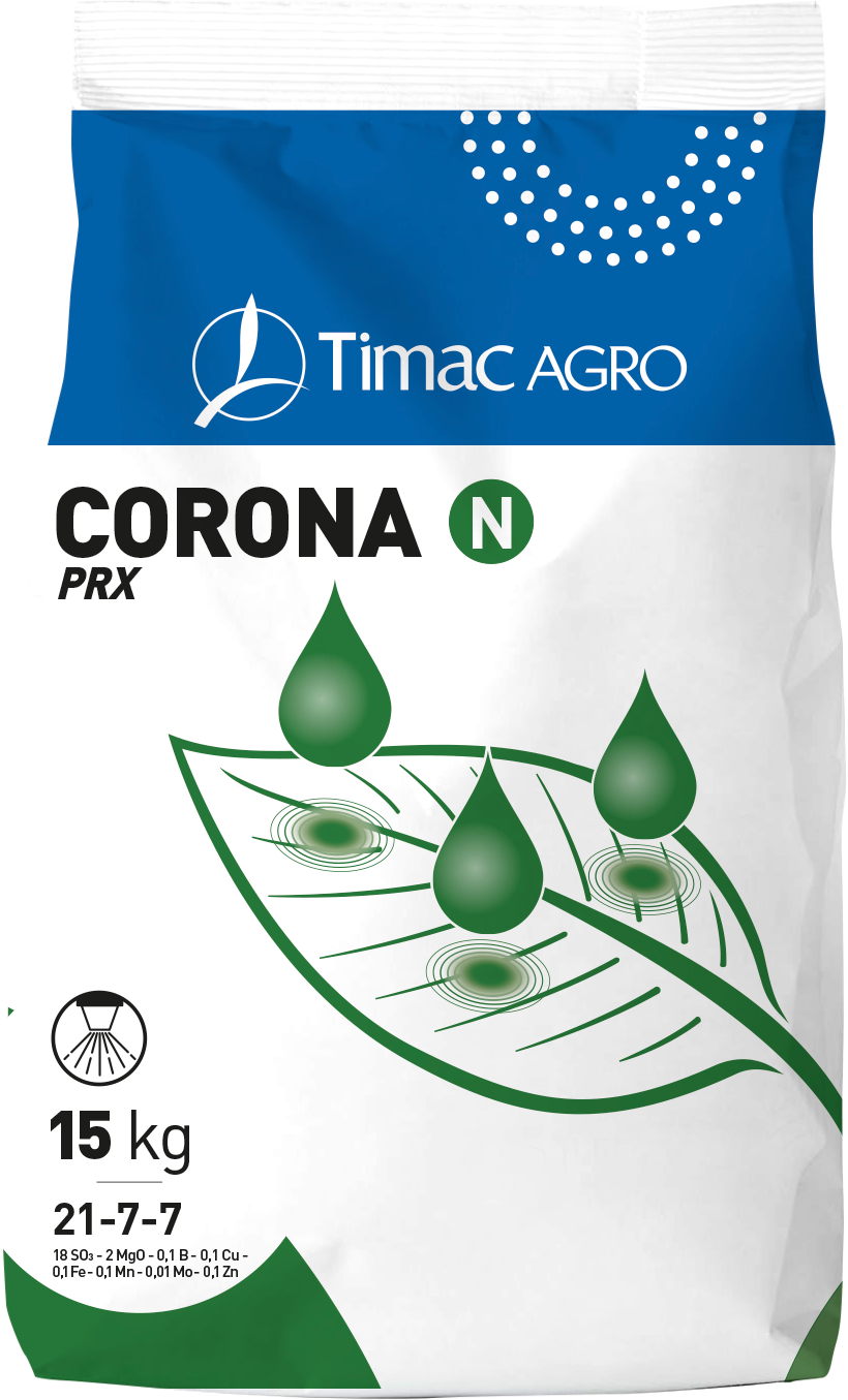 CORONA N