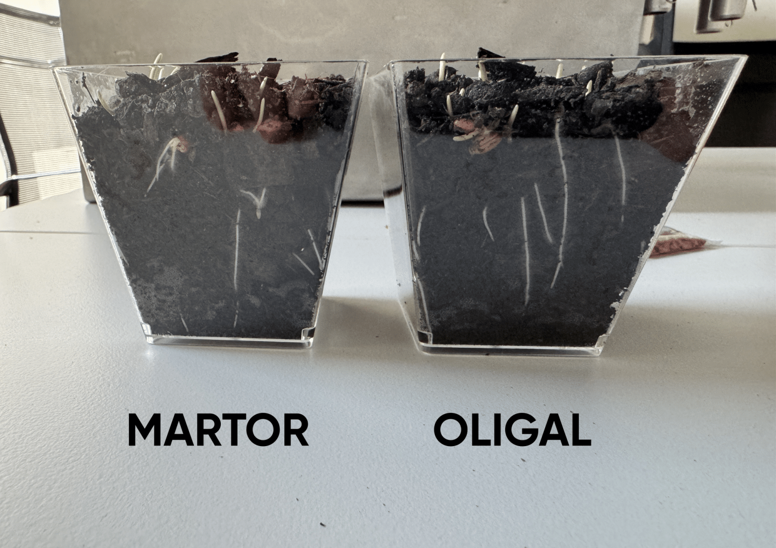 before - after - oligal