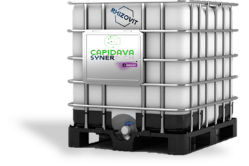 SynerTech Capidava