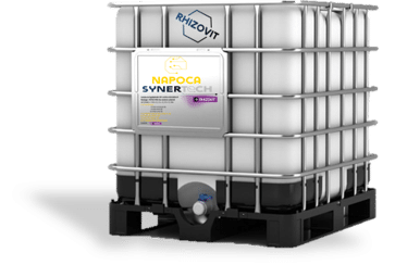 SynerTech Napoca