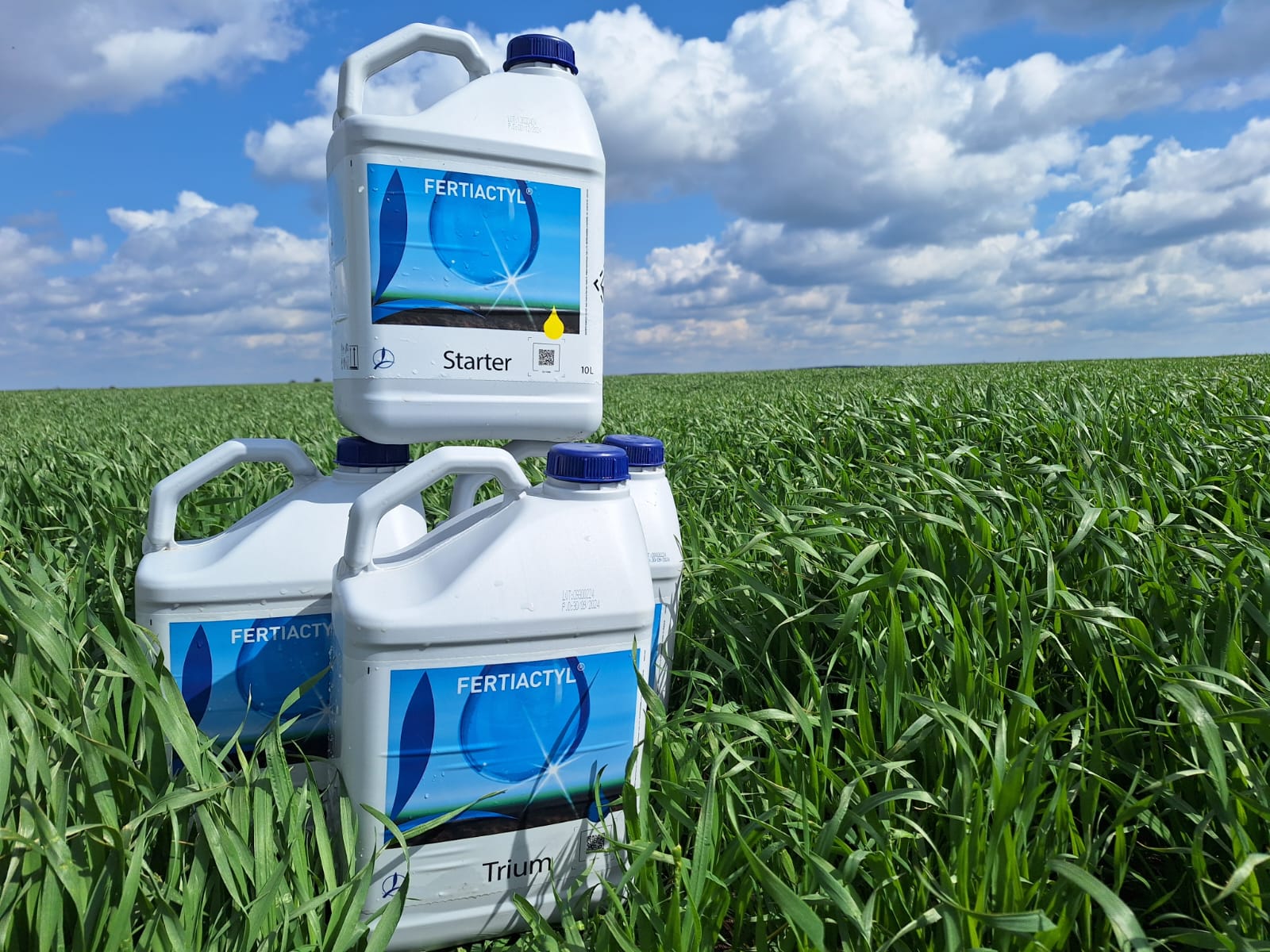 495286989 1252389380224244 6113968941180124462 n