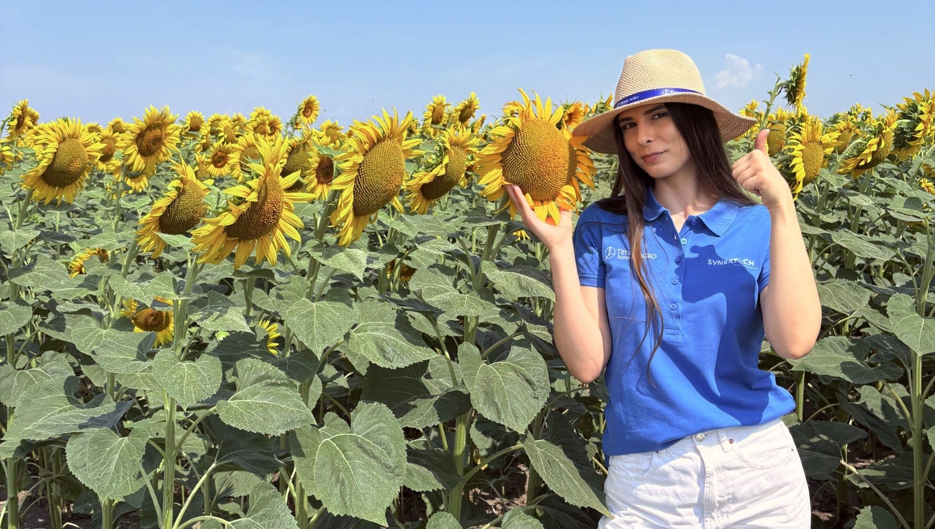 http://Discută%20cu%20un%20expert%20agronom%20TIMAC%20AGRO