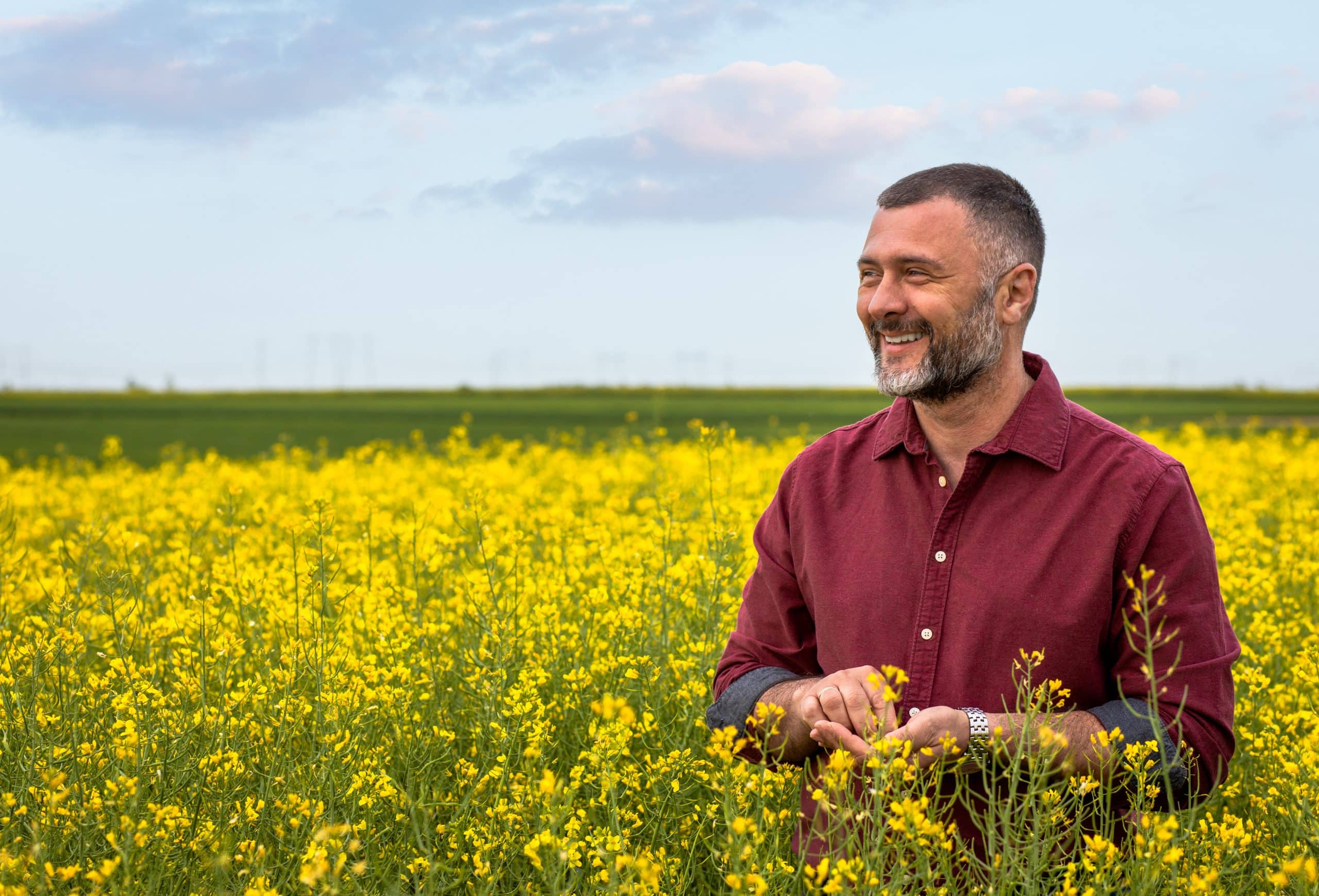 portrait of smiling middle age farmer standing in rapeseed field examining crop.