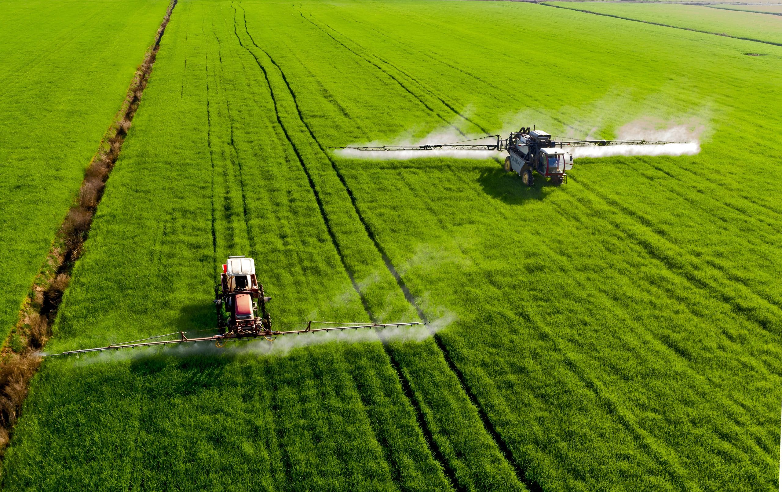agricultural sprayers applying fertilizer to green wheat fields