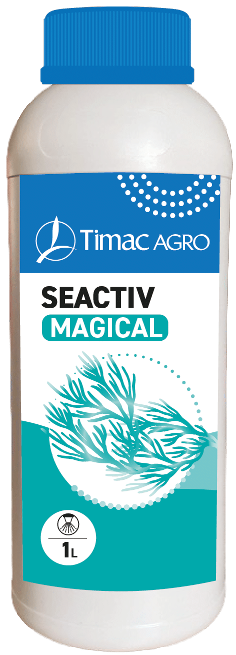 SEACTIV MAGICALalternate image 1