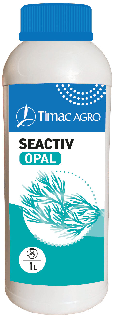 SEACTIV OPALalternate image 1
